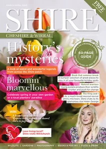 Member Travel Club Article Gopackgotravel